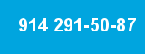914 291-50-87